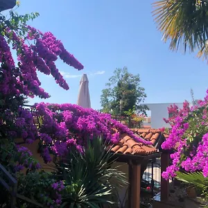 Ana Apartmán